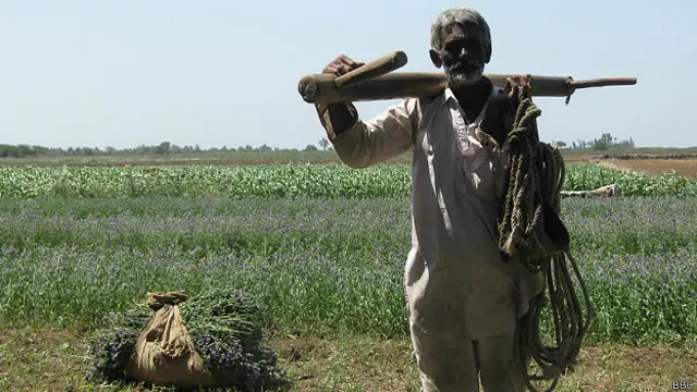 गुजरात किसान