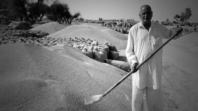 पंजाब, मनरेगा, किसान, क़तार के आख़िरी