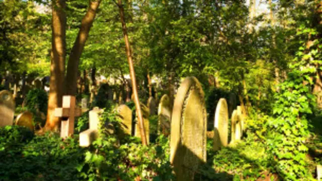  绿意森森，给人生生不息之感