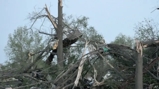В Бэкстер-Спрингс деревья были расколоты пополам