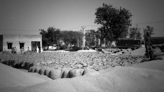 क़तार के आख़िरी, पंजाब, किसान, आत्महत्या