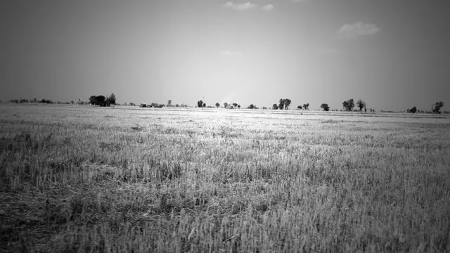 क़तार के आख़िरी, पंजाब, किसान, आत्महत्या