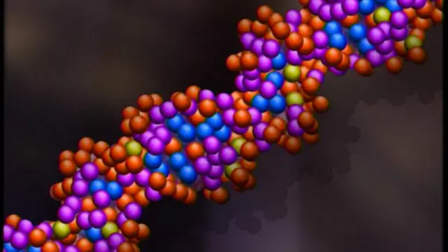 डीएनए सिक्वेंस