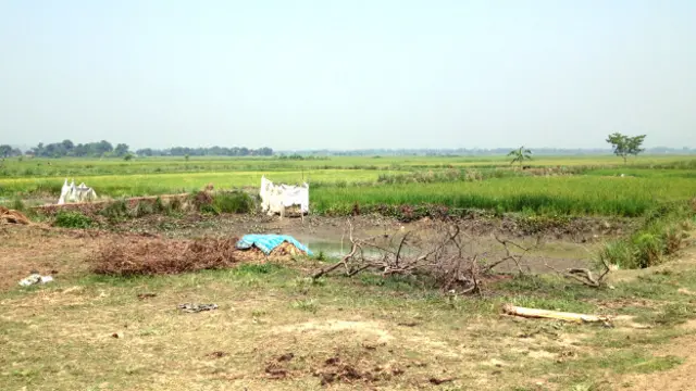 نیلی میں قتلِ عام کی جگہ