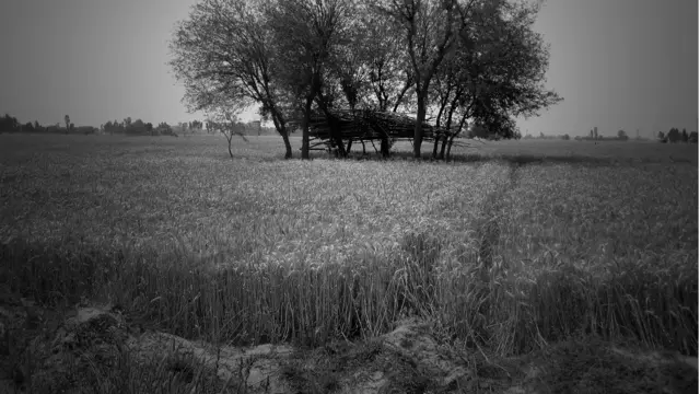 मंड, पंजाब, कपूरथला, सुल्तानपुर लोदी, क़तार के आख़िरी