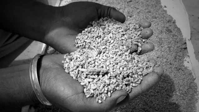 मंड, पंजाब, कपूरथला, सुल्तानपुर लोदी, क़तार के आख़िरी