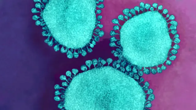 کورونا ویروس