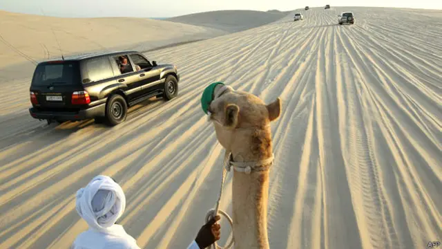 क़तर में ऊंट और एसयूवी का साथ