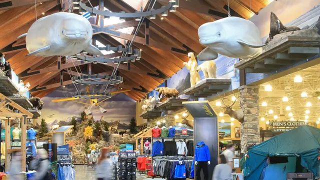 बेलुगा व्हेल