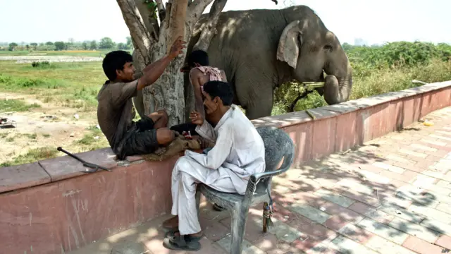 بھارت کے محکمۂ موسمیات کا کہنا ہے کہ ملک میں گرمی کی حالیہ شدت مزید چند دن تک جاری رہے گی اور آنے والے دنوں میں اس میں مزید شدت کا امکان ہے۔