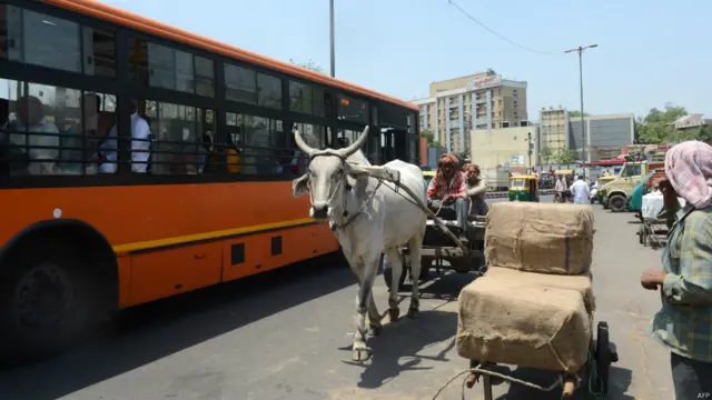  محکمۂ موسمیات کے مطابق آئندہ چند روز میں دارالحکومت کا درجہ حرات 42 سینٹی گریڈ تک پہنچ سکتا ہے۔ بھارت میں موسم گرما کی شدت سے ہر سال درجنوں افراد ہلاک ہو جاتے ہیں۔