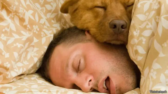 Perro dormido con su dueño