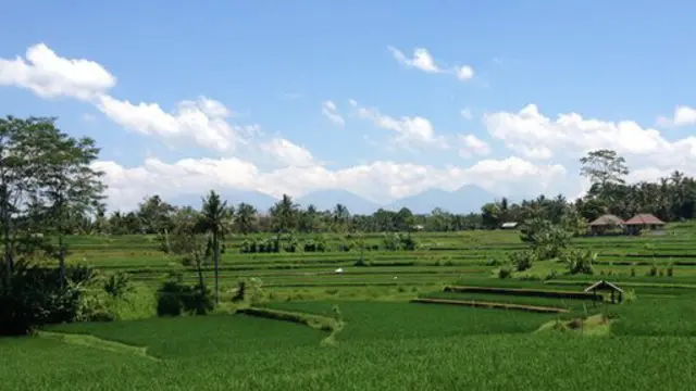 風景給人以靈感？