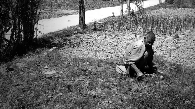 कश्मीरी पंडित, क़तार के आख़िरी