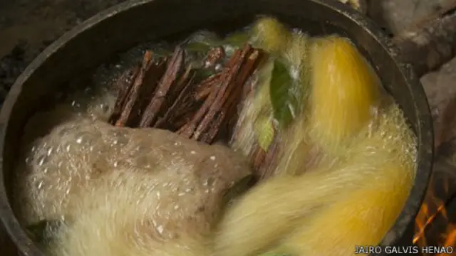Ayahuasca