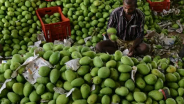 آم پر عائد پابندی سے چند روز کے اندر ہی تقریباً 100 کروڑ کا نقصان اٹھانا پڑا ہے