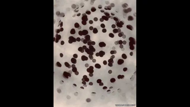 عکس از توماس برومِت از آمریکا