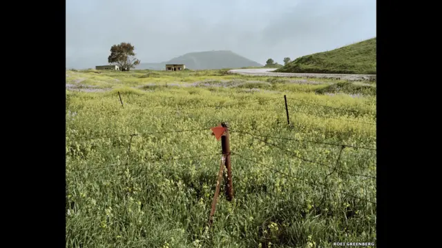 برنده بخش منظره، عکسی از رویی گرینبرگ است. 