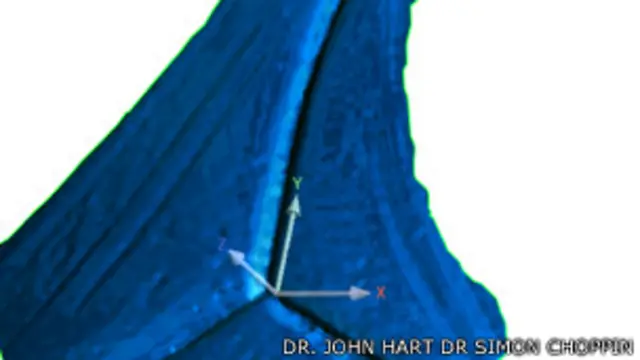 Uniones de gajos de Brazuca Foto Dr John Hart y Dr. Simon Choppin 