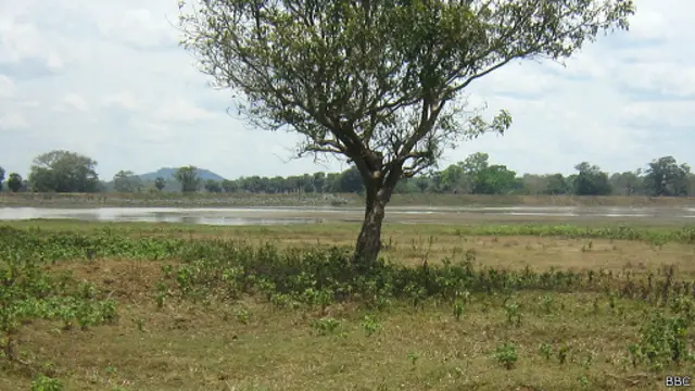 ශ්රී ලංකාවේ වකුගඩු රෝගය බහුලව පැතිර යන්නේ 'ජලයෙන් නොවේ; ආහාරවලින් සිරුරට ඇතුළු වන කැඩ්මියම් විෂ රසායනය හේතුවෙන්'