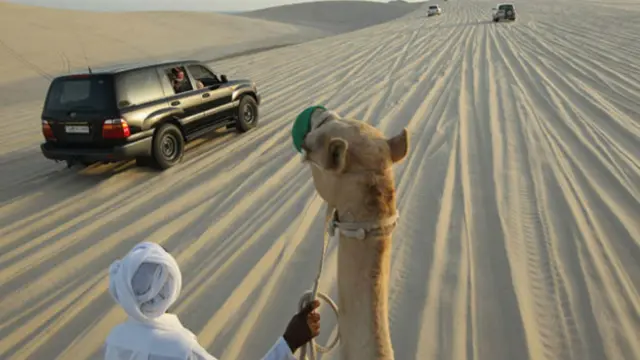 Homem conduz camelo no Catar (foto: AFP)