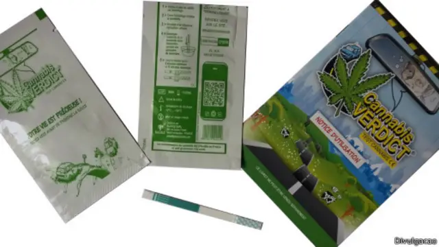 Cannabis Veredict (Foto: Divulgação)