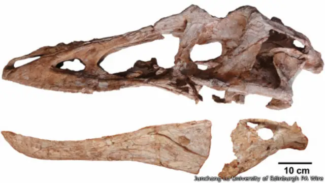 Qianzhousaurus sinensis
