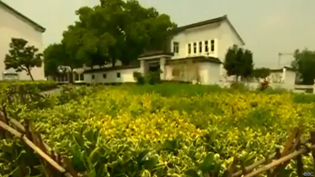 जो यंगकांग का घर