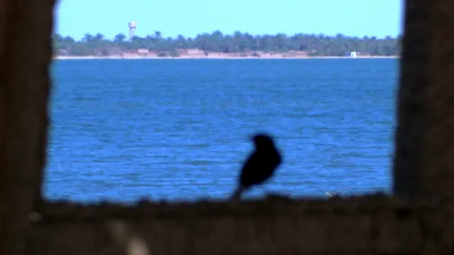 मिस्र में सिवा का नखलिस्तान