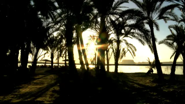 मिस्र में सिवा का नखलिस्तान