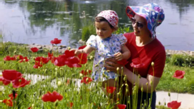 د رسمي شمېرو له مخې افغانستان اوسمهال د نړۍ ۹۰ سلنه نشه يي توکي توليدوي