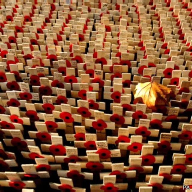 Кресты с фамилиями павших и красными маками на лужайке перед Вестминстерским аббатством (7 ноября 2006 года)