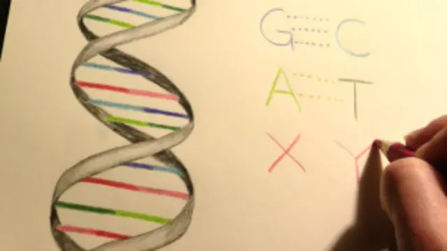 ساختمان دی ان ای