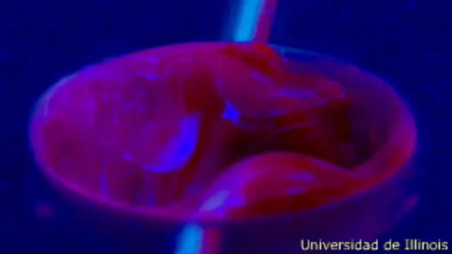 Plástico regenerativo