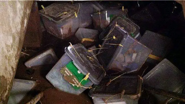 سیلاب در پلخمری در ولایت بغلان به ساختمان کمیسیون مستقل انتخابات هم نفوذ کرد. عکس از هامون قاضی‌زاده