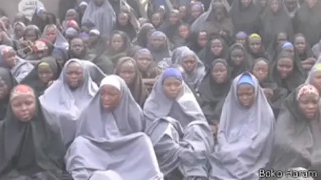 بوکو حرام کے مسلح ارکان نے چیبوک کے ایک سکول سے 200 سے زائد لڑکیوں کو اغوا کیا تھا