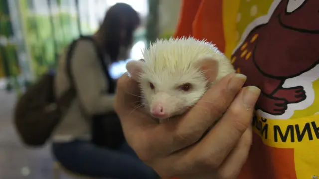 Фото: Алина Циопа