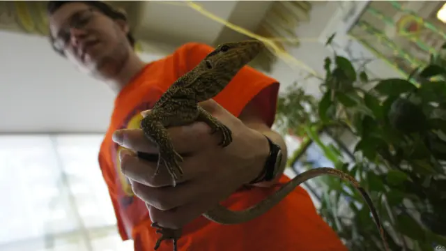 Фото: Алина Циопа