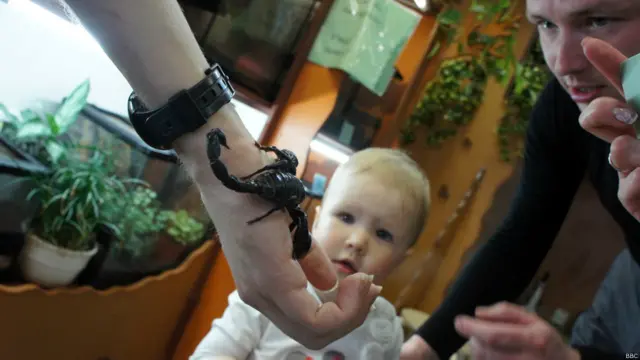 Фото: Алина Циопа