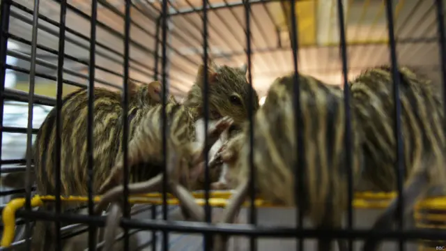 Фото: Алина Циопа