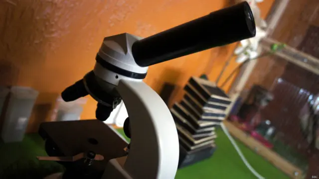 Фото: Алина Циопа