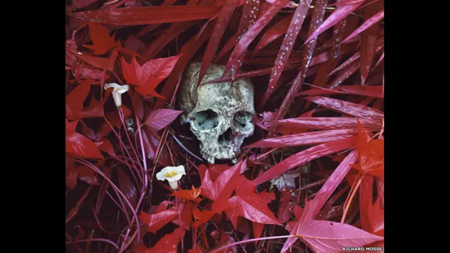 ويقول موس تعليقا على عمله: "اخترت الكونغو لأنني كنت أبحث عن مكان في العالم وفي خيالي يجعلني أتذكر في كل خطوة أخطوها حدود تحركاتي ، وحدود قدرتي على التصور".