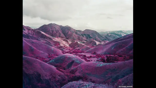 تأسست جائزة دوتش بورس السنوية عام 1996، وتمنح لمصور معاصر يعتبر قد ساهم بشكل كبير في تطوير فن التصوير في أوروبا. 