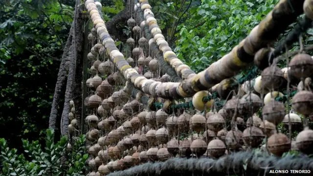 Puente hecho con redes