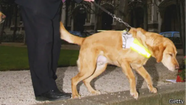 se permiten perros fuera de las correas del reino unido