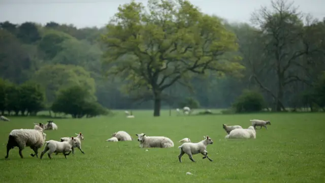 图辑：春回大地 英伦添新色