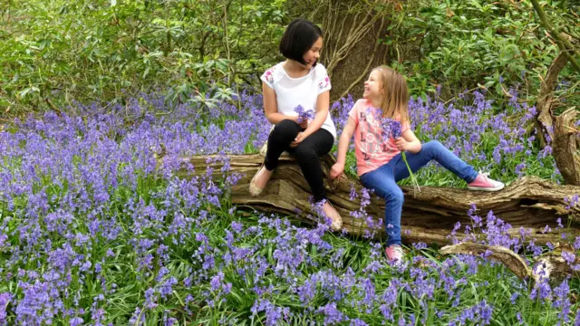 图辑：春回大地 英伦添新色