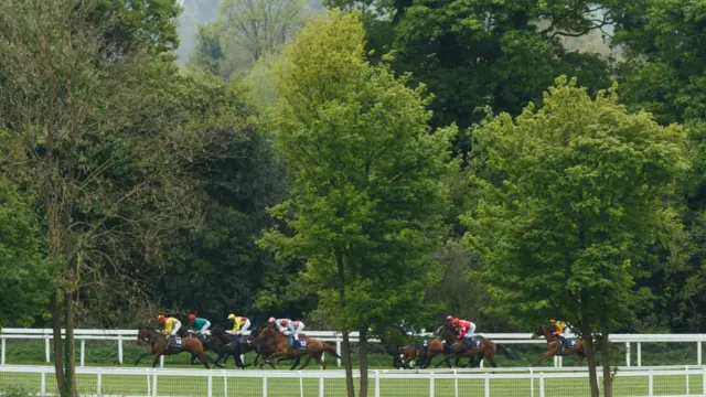 图辑：春回大地 英伦添新色