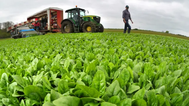 图辑：春回大地 英伦添新色