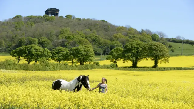 图辑：春回大地 英伦添新色